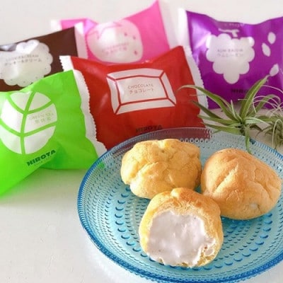 洋菓子のヒロタ シューアイス 詰め合わせ 1個32g×22個入