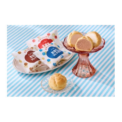【洋菓子のヒロタ100周年】シューアイス22個詰め合わせセット