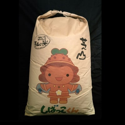 令和5年産 千葉県芝山町産 コシヒカリ 玄米30kg 色選処理済