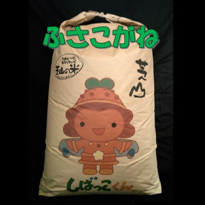 令和8年産　千葉県芝山町産　ふさこがね　玄米30kg　色選処理済