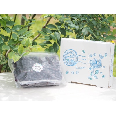 【栽培期間中農薬不使用】大粒冷凍ブルーベリー 900g 千葉県 芝山町産