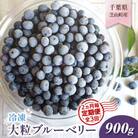 【2ヵ月毎定期便】大粒冷凍ブルーベリー900g 全3回