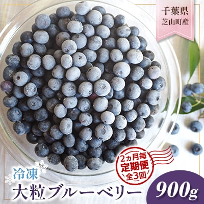 【2ヵ月毎定期便】大粒冷凍ブルーベリー900g 全3回