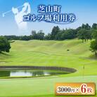 芝山町ゴルフ場利用券 6枚