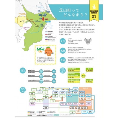 芝山町ゴルフ場利用券 9枚