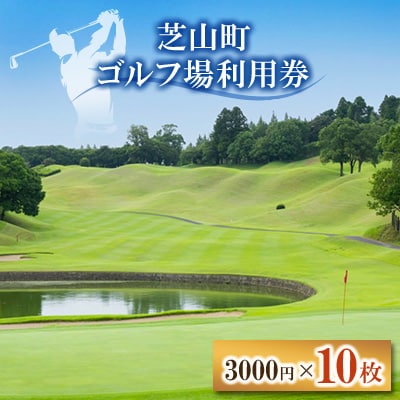 芝山町ゴルフ場利用券 10枚
