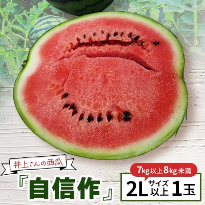 【先行受付・2025年出荷】井上さんの西瓜「自信作」2Lサイズ以上 1玉