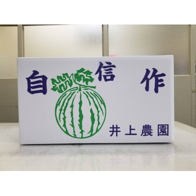 【先行受付・2025年出荷】井上さんの西瓜「自信作」2Lサイズ以上 1玉