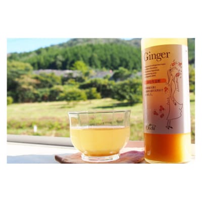 【化粧箱入】3倍濃縮タイプのむ酢セット(檸檬・柚子・生姜)200ml×5本【AM003】