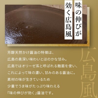芳醇天然かけ醤油500ml×6本【BD003】