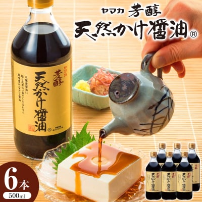 【ギフト用】芳醇天然かけ醤油500ml×6本【BD003-GFT】