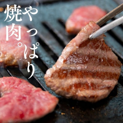 広島牛焼肉!18種の部位を楽しめる♪OHAKO焼肉【DC009】