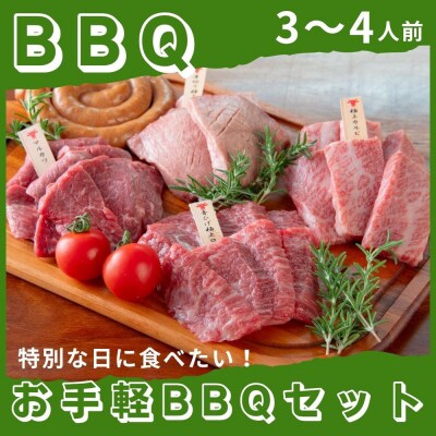 広島牛お手軽BBQセット 3～4人前【DC010】