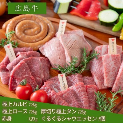広島牛お手軽BBQセット 3～4人前【DC010】