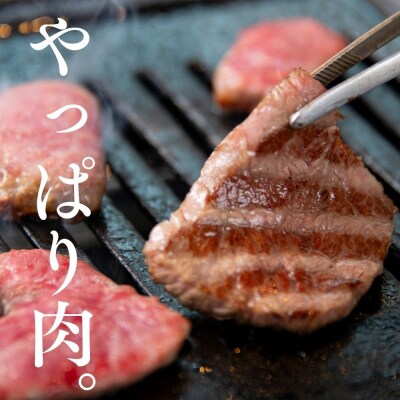 広島牛お手軽BBQセット 3～4人前【DC010】