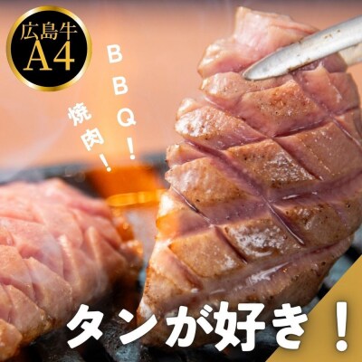 広島牛お手軽BBQセット 3～4人前【DC010】