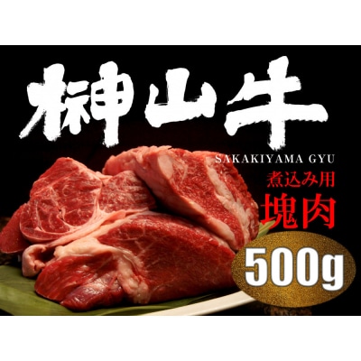 【訳アリ】超希少黒毛和牛「榊山牛」煮込み用ブロック肉500g【ER002】