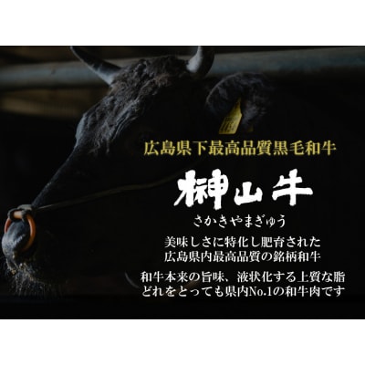 【訳アリ】超希少黒毛和牛「榊山牛」煮込み用ブロック肉500g【ER002】