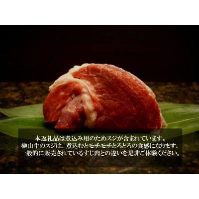 【訳アリ】超希少黒毛和牛「榊山牛」煮込み用ブロック肉500g【ER002】