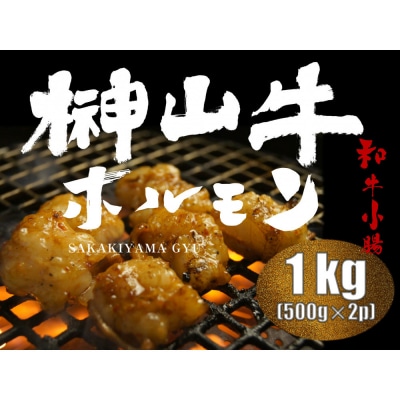 超希少和牛「榊山牛」ホルモン(小腸)焼肉・もつ鍋用 1kg【ER003】