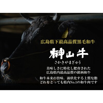 【訳あり】超希少和牛「榊山牛」和牛100%ミンチ500g【ER004】