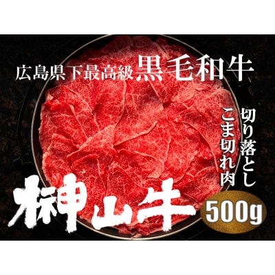 【訳あり】希少黒毛和牛「榊山牛」こま切れ肉500g(250g×2)【ER005】