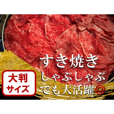 【訳あり】希少黒毛和牛「榊山牛」こま切れ肉500g(250g×2)【ER005】
