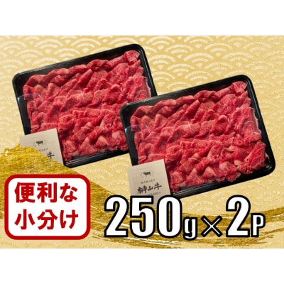 【訳あり】希少黒毛和牛「榊山牛」こま切れ肉500g(250g×2)【ER005】