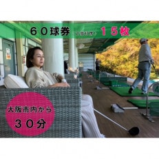 打球券900球(60球券&times;15枚)