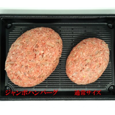 牛壱の国産牛100%ジャンボハンバーグ 3個　300g×3個