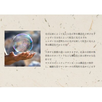 チタン製ミニチュアマンホール・メダルセット【柏原市】ぶどう