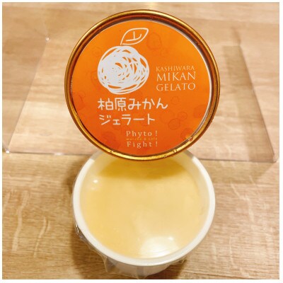 【10個入り】柏原みかんジェラート　フルーツとミルクのバランスが絶妙です!