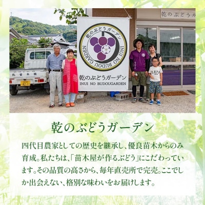 【2026年 先行予約】数量限定  至高のシャインマスカット 1kg(2房) 9月上旬～下旬発送分
