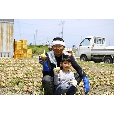 てっちゃんの淡路島たまねぎ(5kg)