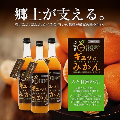 淡路島ギュッとみかん　720mL(4本入り)