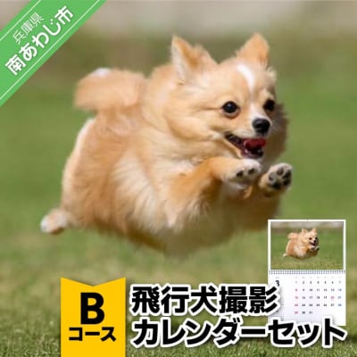 Bコース　飛行犬撮影カレンダーセット