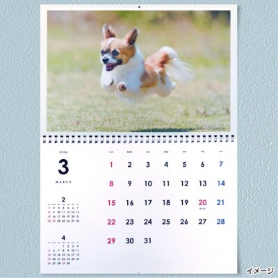 Bコース　飛行犬撮影カレンダーセット