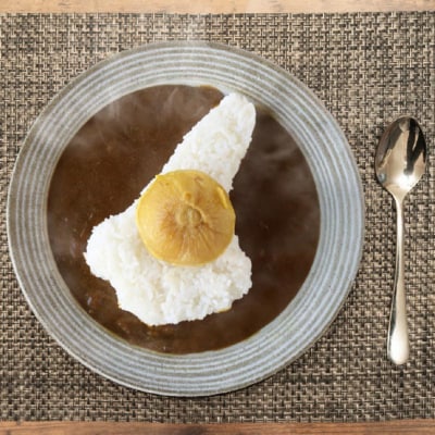 淡路島玉ねぎまるごとカレー10食セット