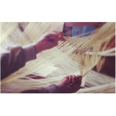 90秒でアルデンテ　そうめん職人が作った「手延べぱすた」(180g×5)と無添加オイルサーディン3缶