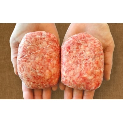 【あわじビーフこまつ】淡路産にこだわったお肉屋さんのハンバーグ(8個入り)