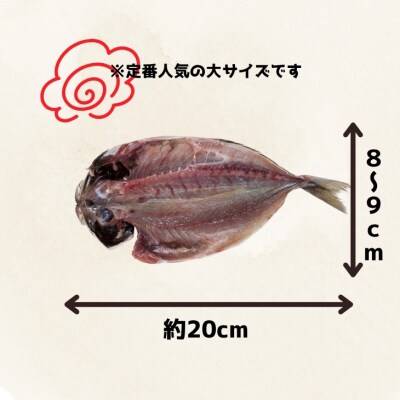 山田海産物の無添加「あじ開き16枚入り」　ふっくら、やわらか、身はぷりっぷり!
