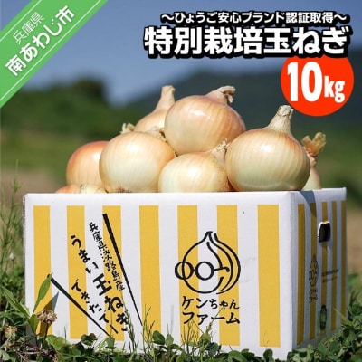 ＼うまい玉ねぎできたでー/ケンちゃんファームの特別栽培玉ねぎ10kg ～ひょうご安心ブランド認証取得