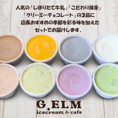 G.ELMの淡路島の手作りアイスクリーム8個セット(ジェラート)