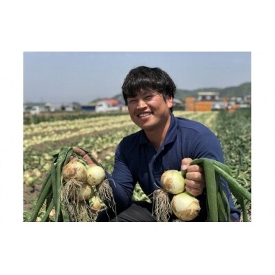 原田さんの玉ねぎ3kg☆ひょうご安心ブランド認証特別栽培