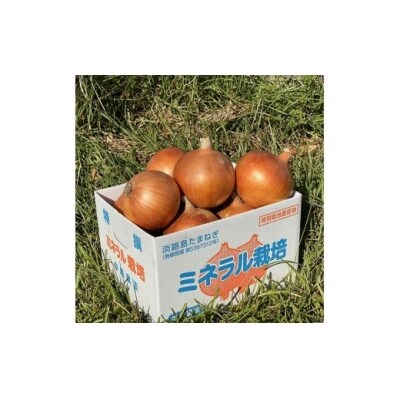 原田さんの玉ねぎ3kg☆ひょうご安心ブランド認証特別栽培