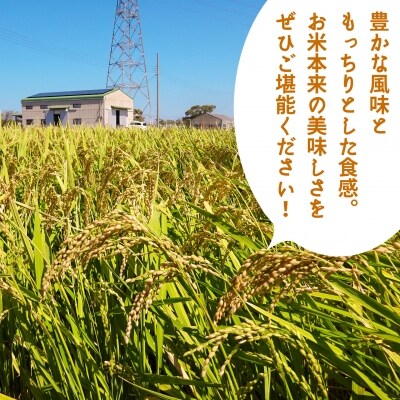 令和6年産新米　淡路島産ミルキークイーン2kgと淡路島産玉ねぎ2kgセット