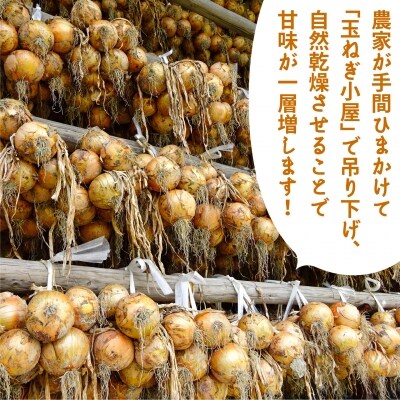 令和6年産新米　淡路島産ミルキークイーン2kgと淡路島産玉ねぎ2kgセット