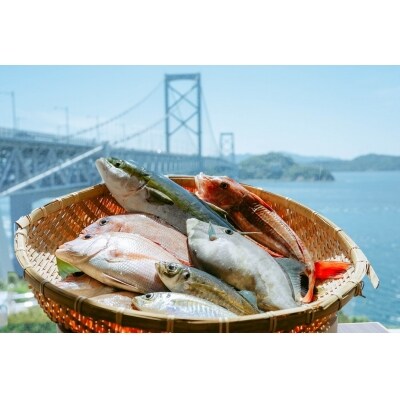 海の産直便　天然真鯛(2尾)とお任せ鮮魚(4～5尾)の詰合せセット【4～5名用】