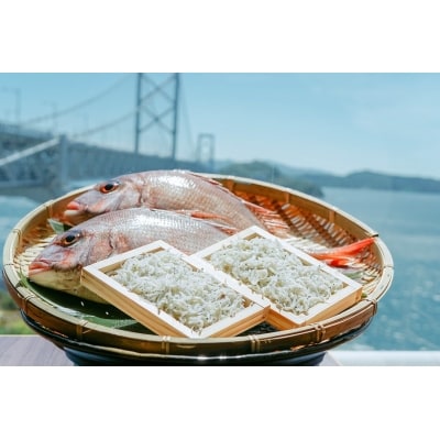 海の産直便　天然真鯛(2尾)と釜揚げしらす(2パック)の詰合せセット【2名用】