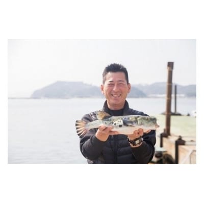 【若男水産】3年とらふぐアラ身500g(約3人前)【数量限定!】